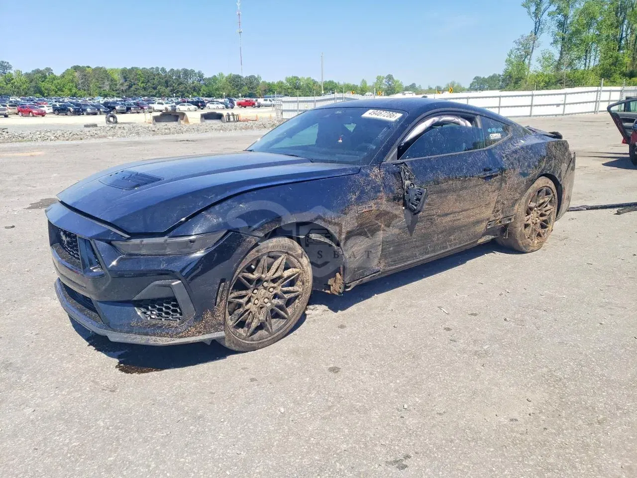 Ford Mustang 5.0L 8 2024