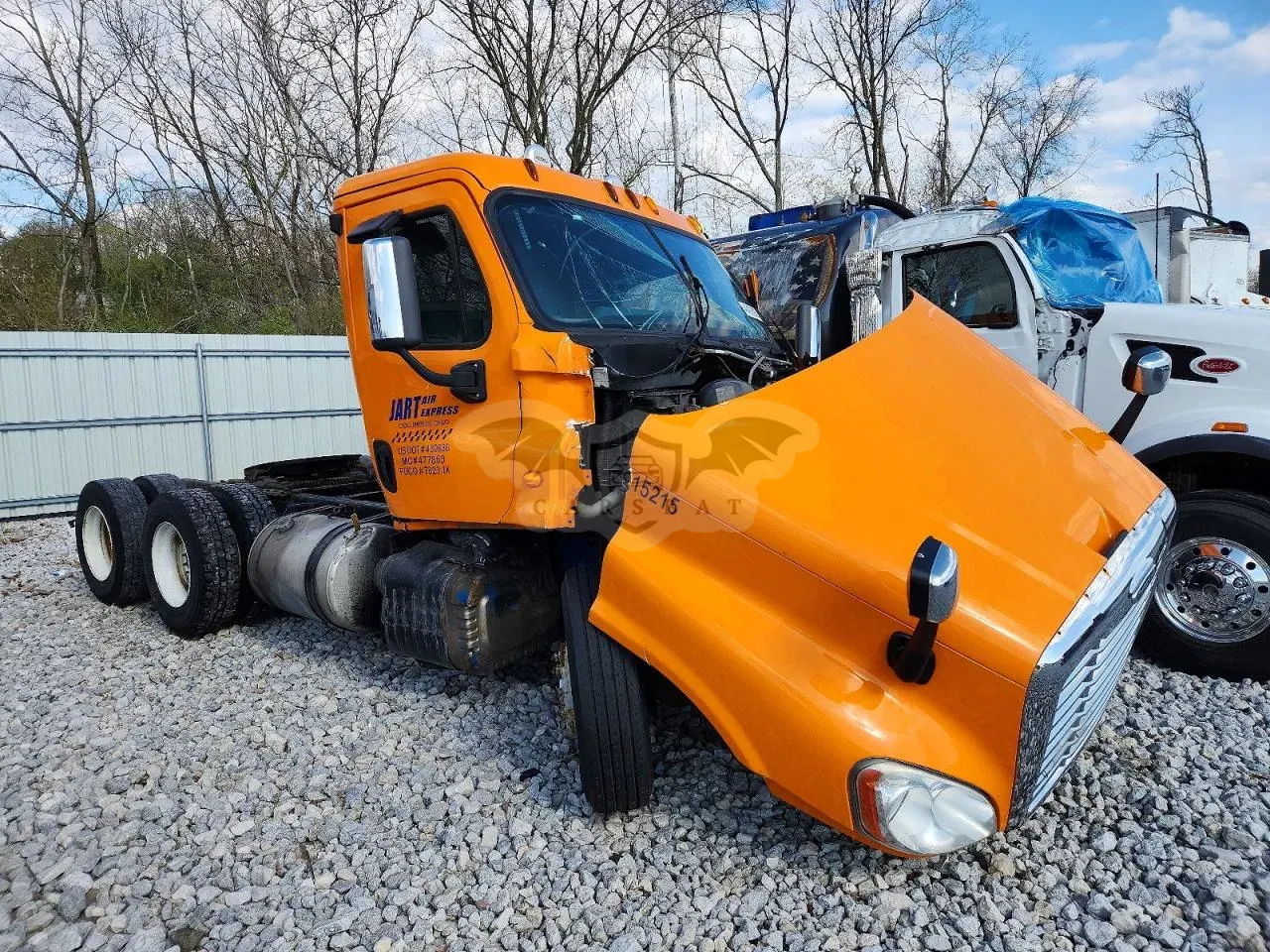 Freightliner Cascadia 12.8L 6 2015
