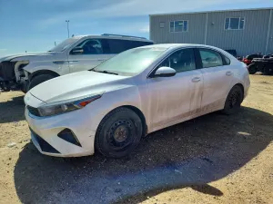 Kia Cerato / Forte / K3 2.0L 4 2022
