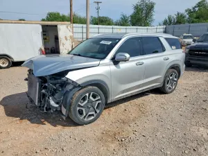 Hyundai Palisade 3.8L 6 2024