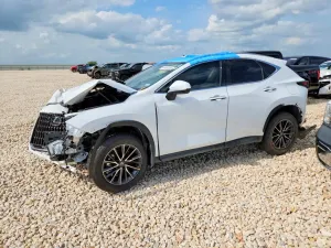 Lexus NX 2.4L 4 2026