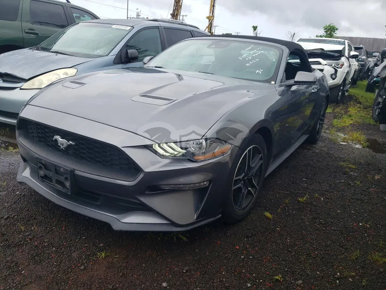 Ford Mustang 2.3L 4 2023