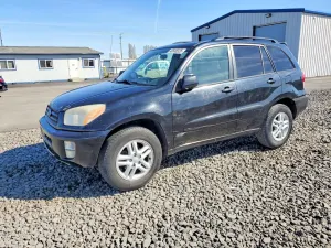 Toyota Rav4 2.0L 4 2002