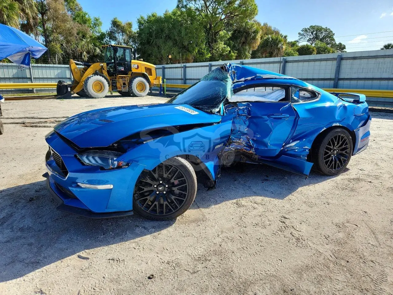 Ford Mustang 5.0L 8 2019