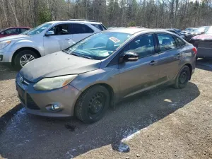 Ford Focus 2.0L 4 2012