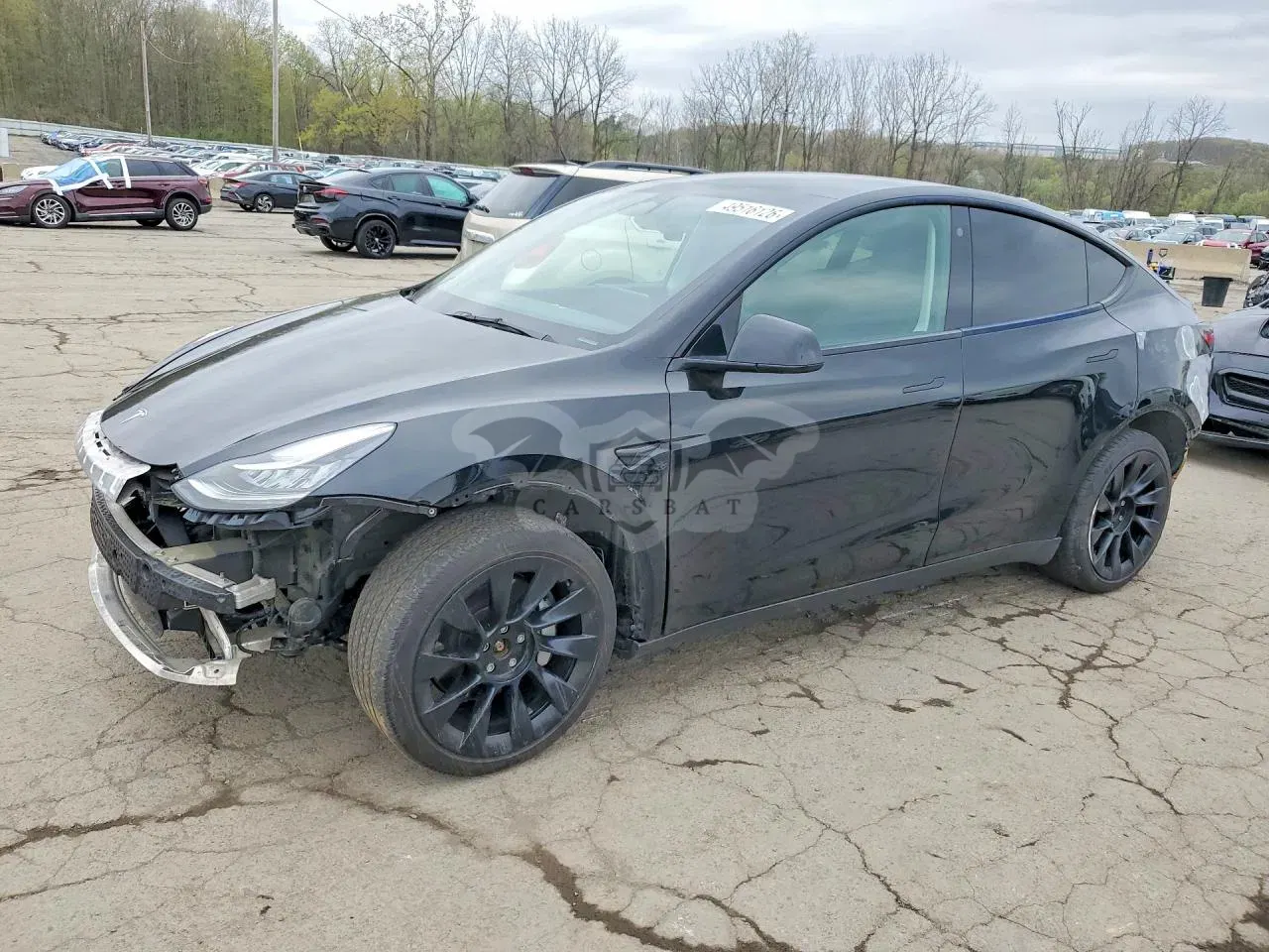 Tesla Model Y 2021