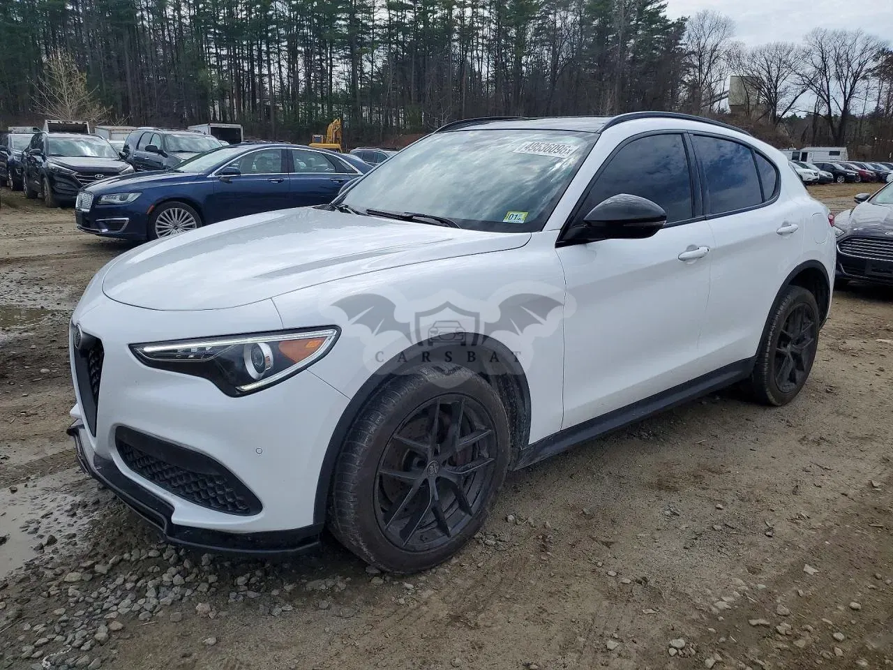 Alfa Romeo Stelvio 2.0L 4 2019