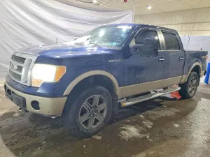 Ford F-150 5.4L 8 2010