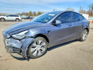 Tesla Model Y 2020