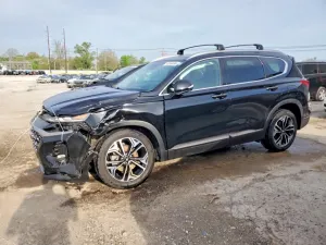 Hyundai Santa Fe 2.0L 4 2020