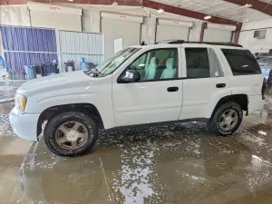 Chevrolet Trailblazer 4.2L 6 2006