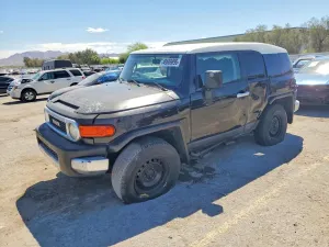 Toyota FJ Cruiser 4.0L 6 2007