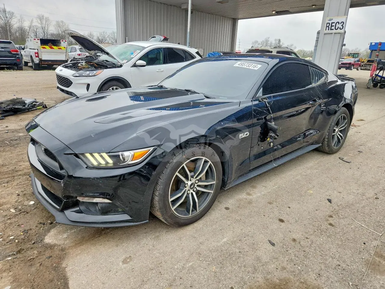 Ford Mustang 5.0L 8 2017
