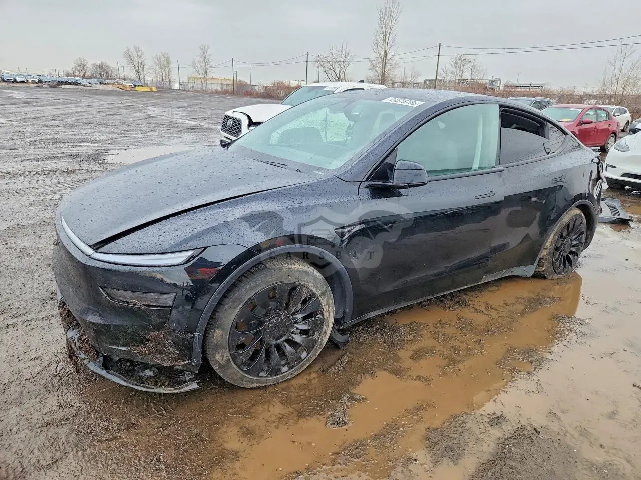 Tesla Model Y 2026