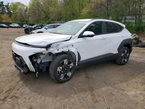 Hyundai Kona 2.0L 4 2025