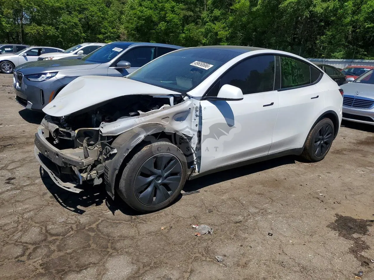 Tesla Model Y 2024