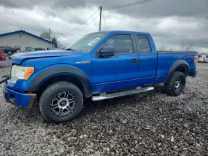 Ford F-150 4.6L 8 2010