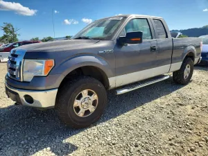 Ford F-150 4.6L 8 2009