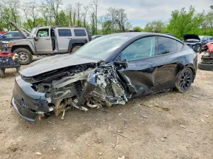 Tesla Model Y 2024