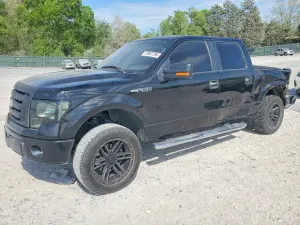 Ford F-150 4.6L 8 2010