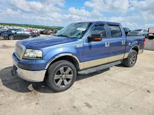 Ford F-150 4.6L 8 2006