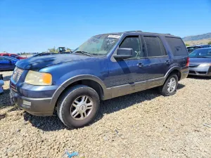 Ford Expedition 5.4L 8 2004