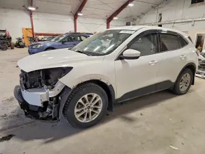 Ford Escape 1.5L 3 2020