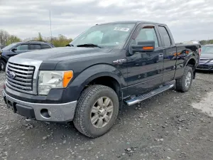Ford F-150 4.6L 8 2010