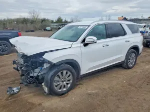 Hyundai Palisade 3.8L 6 2025
