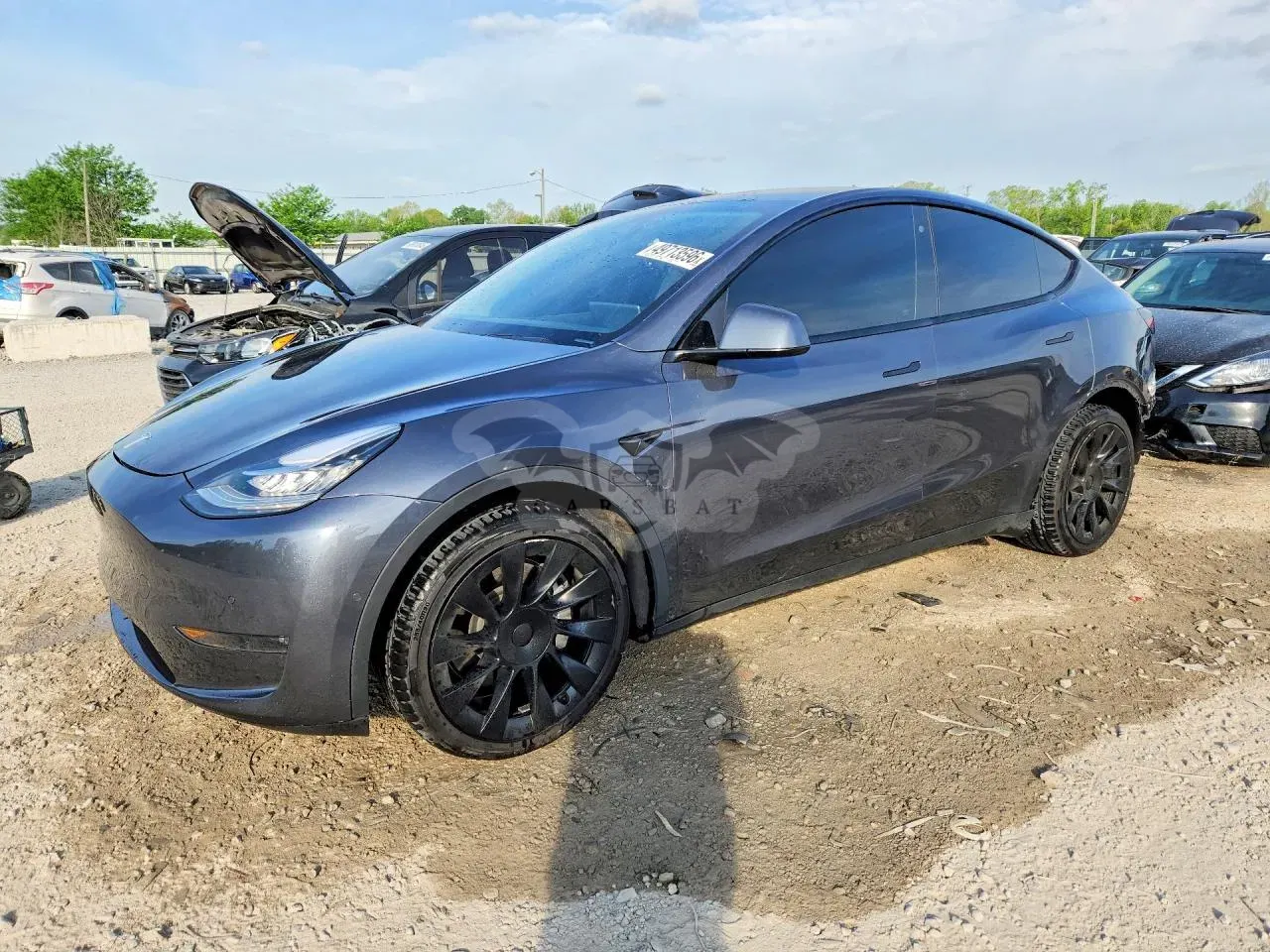 Tesla Model Y 2020