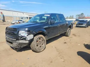 Ford F-150 4.6L 8 2010