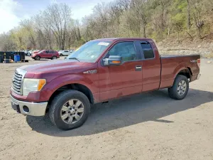 Ford F-150 4.6L 8 2010