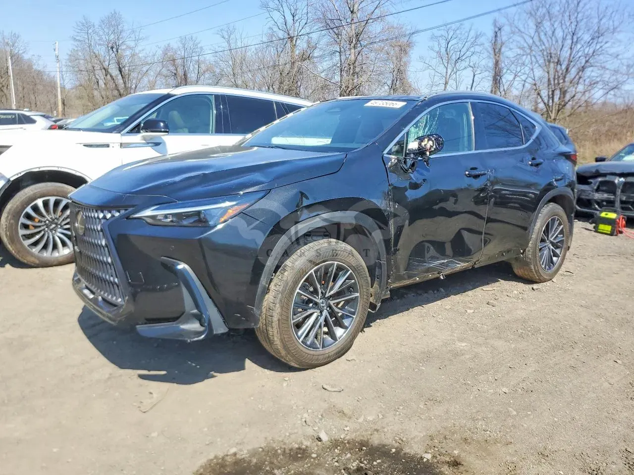 Lexus NX 2.4L 4 2025