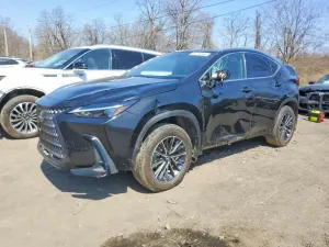 Lexus NX 2.4L 4 2025