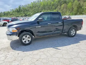 Dodge RAM 4.7L 8 2009