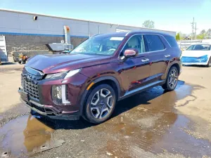 Hyundai Palisade 3.8L 6 2023