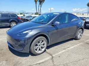 Tesla Model Y 2024
