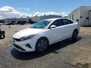 Kia Cerato / Forte / K3 2.0L 4 2023