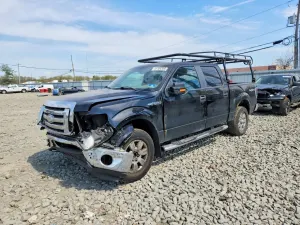 Ford F-150 4.6L 8 2009