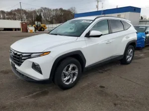 Hyundai Tucson 2.5L 4 2024