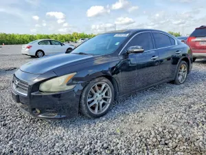 Nissan Maxima 3.5L 6 2011