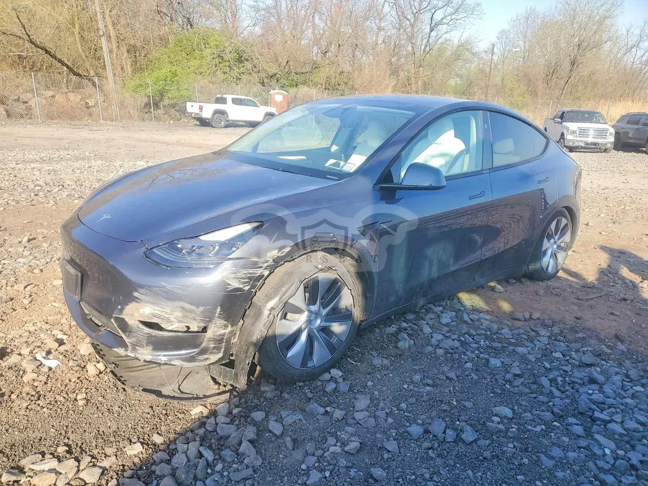 Tesla Model Y 2024