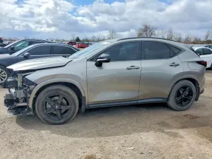 Lexus NX 2.4L 4 2023