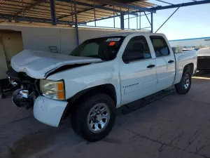 Chevrolet Silverado 1500 4.8L 8 2008