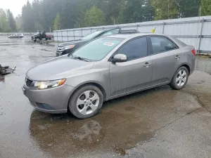 Kia Cerato / Forte / K3 2.0L 4 2010