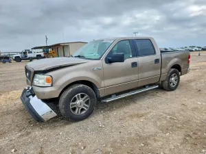 Ford F-150 4.6L 8 2006