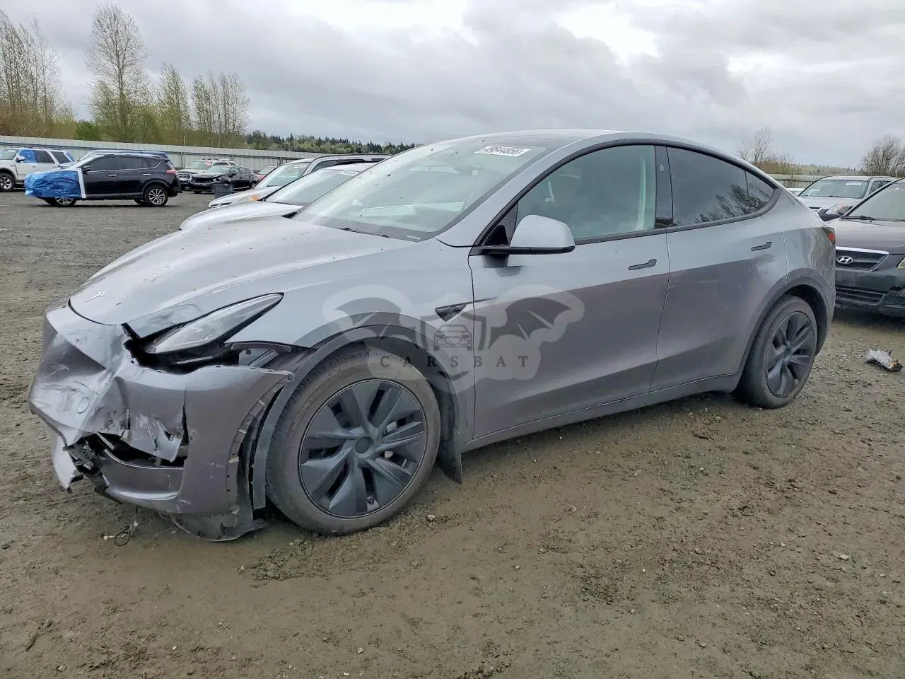 Tesla Model Y 2024