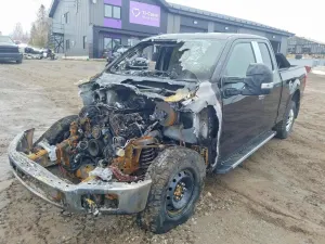 Ford F-150 5.0L 8 2018