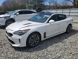 Kia Stinger 2.0L 4 2019