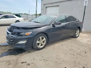 Chevrolet Malibu 1.5L 4 2019